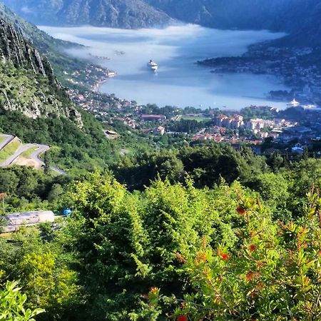 Big Hill Apartment Kotor Dış mekan fotoğraf